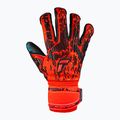 Reusch Attrakt Freegel Gold Evolution Cut Torwarthandschuhe rot 5370135-3333 4