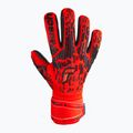 Reusch Attrakt Freegel Silber Torwarthandschuhe rot 5370235-3333 4