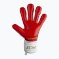 Reusch Attrakt Freegel Silver Torwarthandschuhe weiß 5370235-1011 6