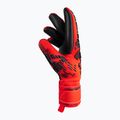 Reusch Attrakt Freegel Silver Junior Kinder Torwarthandschuhe rot 5372235-3333 3