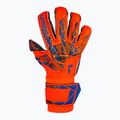 Reusch Attrakt Gold X Evolution GluePrint Torwarthandschuhe hyper orng/elec blau/blck 2