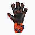 Reusch Attrakt Gold X Evolution GluePrint Torwarthandschuhe hyper orng/elec blau/blck 3