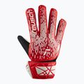 Torwarthandschuhe Kinder Reusch Attrakt Starter Solid Junior poland 2