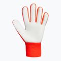 Torwarthandschuhe Reusch Attrakt Starter Solid shocking orange/blue 3