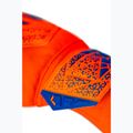 Torwarthandschuhe Reusch Attrakt Starter Solid shocking orange/blue 7