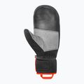 Skihandschuhe Reusch Worldcup Warrior R-Tex XT Mitten black/silver/fluo red 3