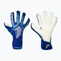 Torwarthandschuhe Reusch Fastgrip Advance sharp blue/white