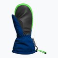Kinder Skihandschuhe Reusch Maxi R-Tex XT Mitten surf the web/green gecko 3