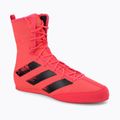 Boxen Schuhe adidas Box Hog 3 rosa FX1991