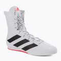 Boxen Schuhe adidas Box Hog 3 weiß und schwarz GV9975