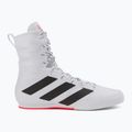 Boxen Schuhe adidas Box Hog 3 weiß und schwarz GV9975 2