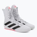 Boxen Schuhe adidas Box Hog 3 weiß und schwarz GV9975 5