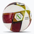 ERIMA Hybrid Training 2.0 rot/lime Fußball Größe 4 2