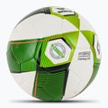 ERIMA Hybrid Training 2.0 grün/limette Größe 3 Fußball 2