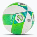 ERIMA Hybrid Lite 290 grün gecko/petrol Fußball Größe 3 2