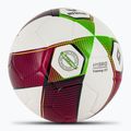 ERIMA Hybrid Training 2.0 rot/grün Gecko Fußball Größe 5 2