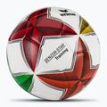 ERIMA Senzor Star Training verschiedene Größe 5 Fußball 2
