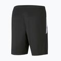 PUMA Teamliga Herren Trainingsshorts schwarz 657249 03 2