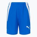 PUMA Teamliga Kinder-Fußballshorts navy blau 70493102