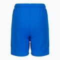 PUMA Teamliga Kinder-Fußballshorts navy blau 70493102 2