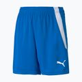 PUMA Teamliga Kinder-Fußballshorts navy blau 70493102 5