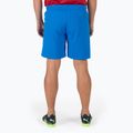 PUMA Teamrise Herren Fußball-Shorts blau 70494202 2