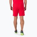 Herren PUMA Teamrise Fußball-Shorts rot 70494201 2