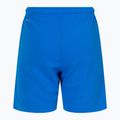 PUMA Teamrise Kinder-Fußballshorts blau 70494302 2