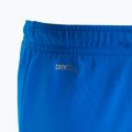 PUMA Teamrise Kinder-Fußballshorts blau 70494302 4
