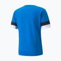Herren Fußballtrikot PUMA teamRISE Jersey blau 704932_02 6