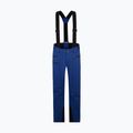 Skihose Herren ZIENER Tronador vista blue 4