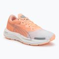 Laufschuhe für Damen Puma Velocity Nitro 2 melon/white/grey
