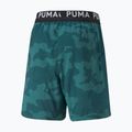 Trainingsshorts Herren PUMA Train Off Season AOP Woven 7" grün 52235924 2