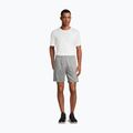 FILA Herren Shorts Lich Sweat hellgrau melange 2