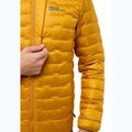 Jack Wolfskin Herren Daunenjacke Passamani Down Hoody safflower 4