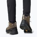 Schuhe Trekking  Herren Jack Wolfskin Terraquest Arctic Texapore Mid cold coffee 9