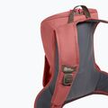 Urban Rucksack Damen Jack Wolfskin Waimea 15 l mineral red 6