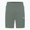 Jack Wolfskin Herren-Trekking-Shorts Hikeout schiefergrün 7