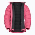 Damen Daunenjacke Jack Wolfskin Ather Down Hoody bubblegum 9