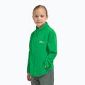 Fleece Hoodie Sweatshirt Kinder Jack Wolfskin Taunus mystic green 10