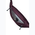 Bauchtasche Jack Wolfskin Konya Hipbag 2 l Amaranth 4