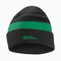 Kinder-Wintermütze Jack Wolfskin Stripy Knit slate green/mystic
