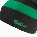 Kinder-Wintermütze Jack Wolfskin Stripy Knit slate green/mystic 3