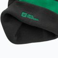 Kinder-Wintermütze Jack Wolfskin Stripy Knit slate green/mystic 5