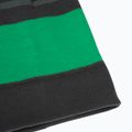 Kinder-Wintermütze Jack Wolfskin Stripy Knit slate green/mystic 6