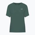 Trekkingshirt Damen Jack Wolfskin Vonnan sago palm 5