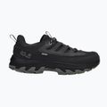 Herren-Trekkingstiefel Jack Wolfskin Apex Hike Texapore Low black
