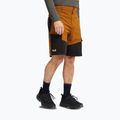 Herren-Trekkingstiefel Jack Wolfskin Apex Hike Texapore Low black 8