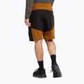 Herren-Trekkingstiefel Jack Wolfskin Apex Hike Texapore Low black 9
