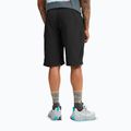 Herren-Trekkingshorts Jack Wolfskin Duneland black 3